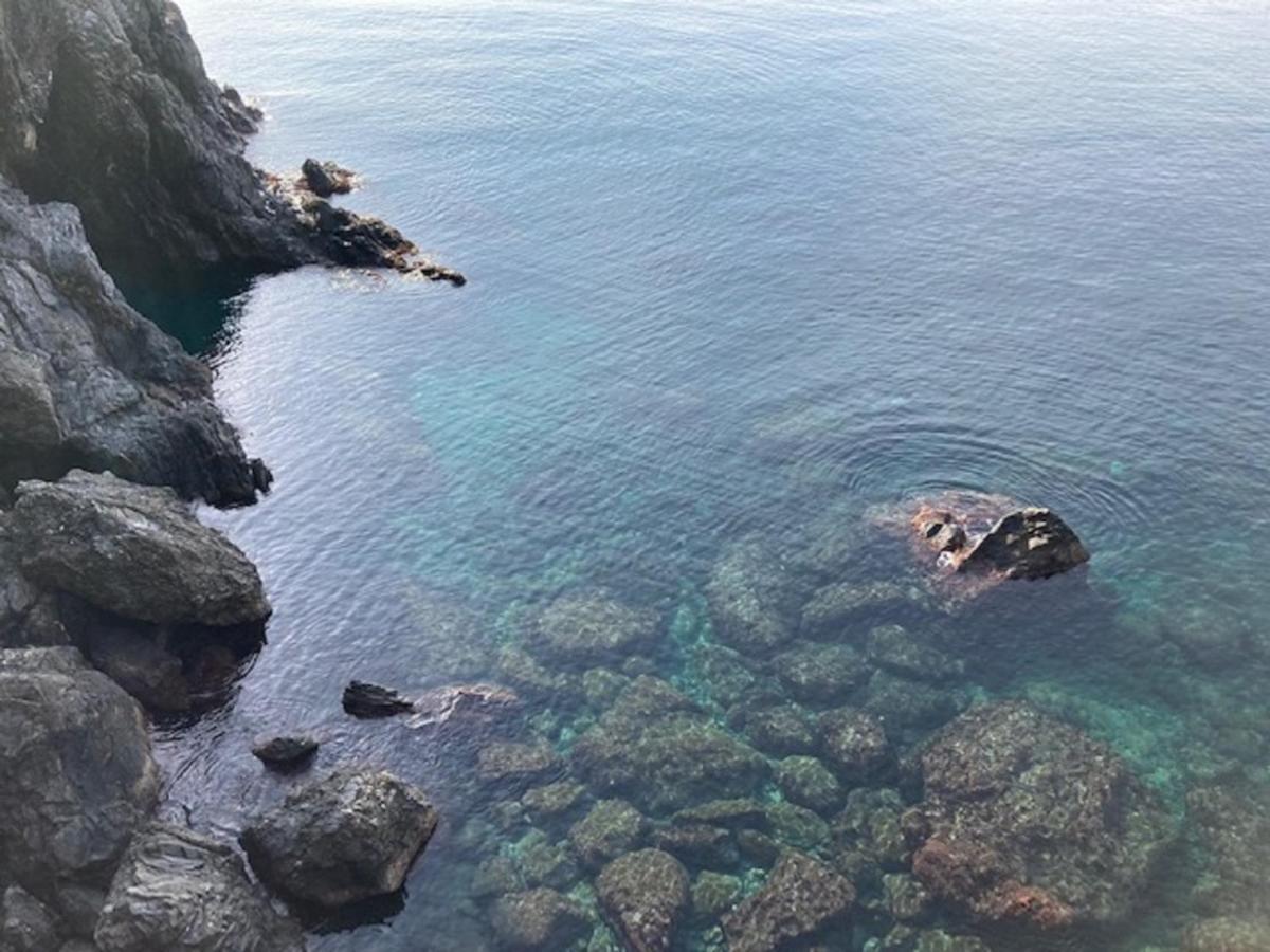 Апартаменти La Gemma Di Monterosso, In Centro Vicino Al Mare Монтероссо-аль-Маре Екстер'єр фото